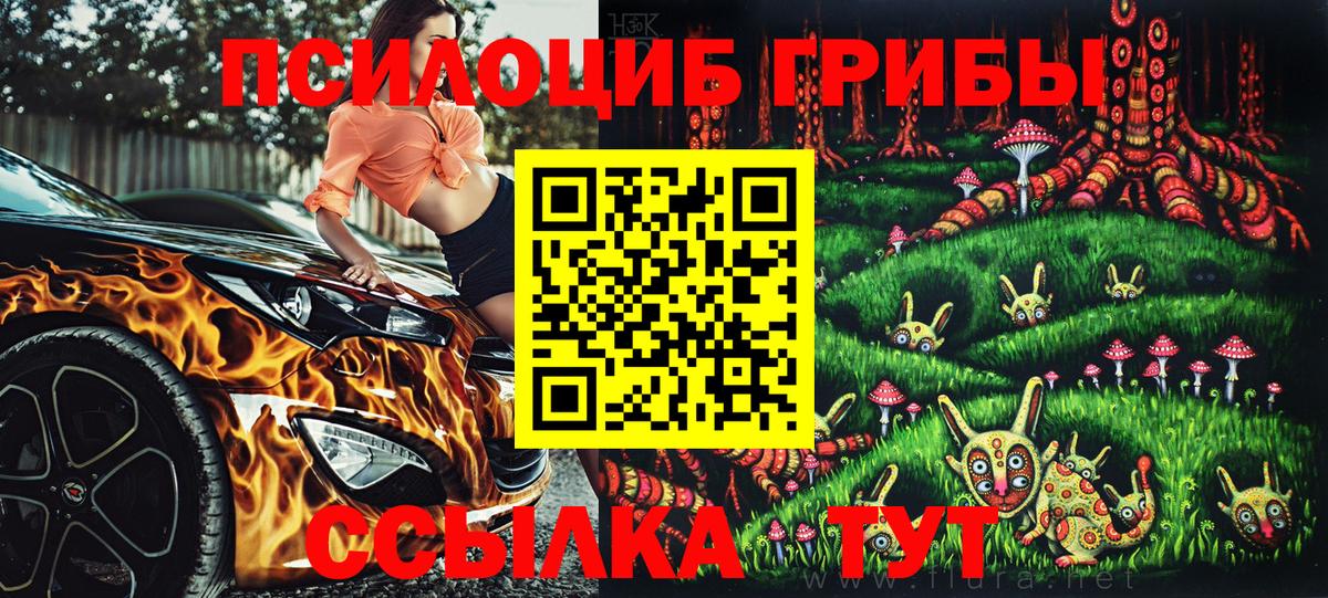 Галлюциногенные грибы Cubensis Борзя