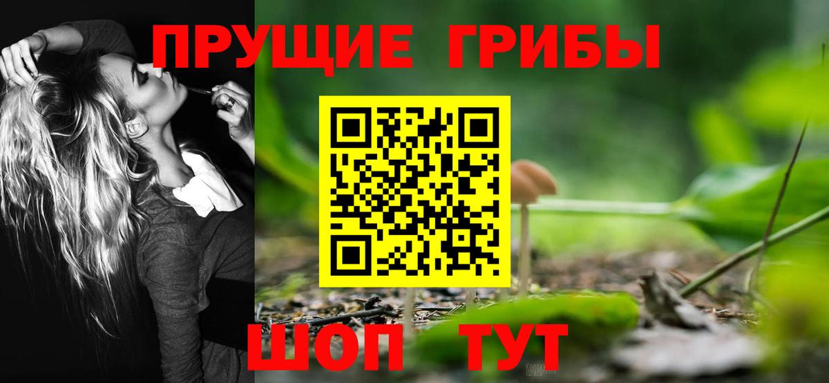 Борзя  Галлюциногенные грибы мухоморы  Вход с VPN  Псилоцибиновые грибы Psilocybine cubensis 