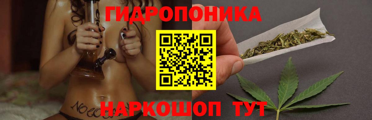 Каннабис Ganja  Вход с VPN  Канабис планчик  Борзя  Конопля Amnesia  Бошки марихуана семена 
